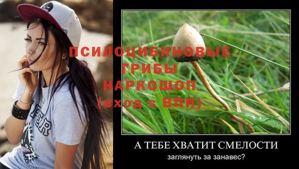 каннабис Армянск