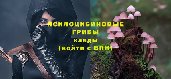 мескалин Арсеньев